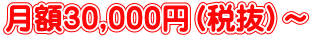 月額30,000円（税抜）～ 